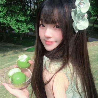 兔子镇的火狐狸